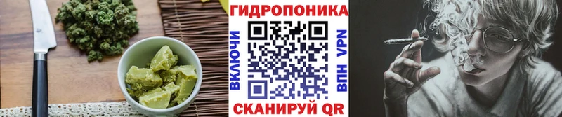 ссылка на мегу онион  Злынка  Cannafood конопля 