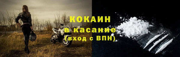 ешки Аркадак