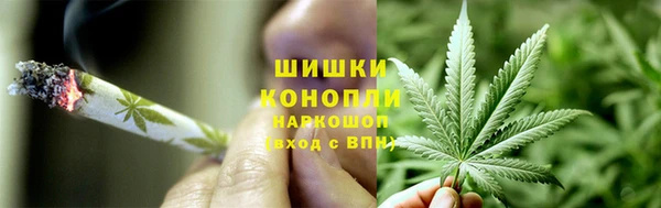 дурь Арсеньев