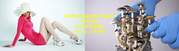 apvp Армянск