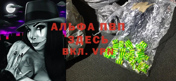 ешки Аркадак