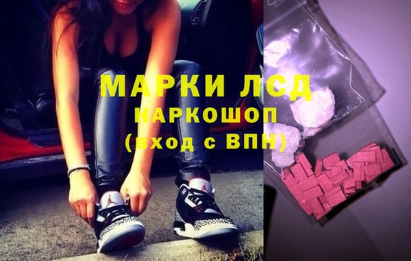 ешки Аркадак