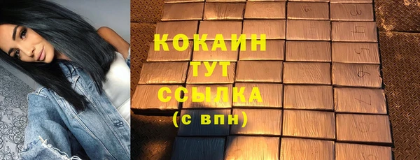 дурь Арсеньев