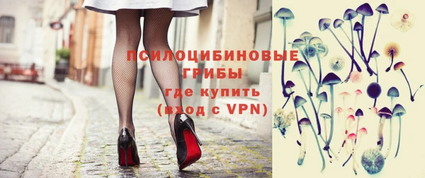 apvp Армянск
