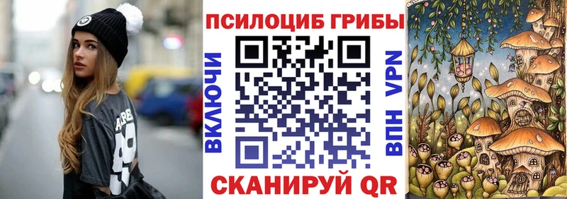 блэк спрут ТОР  Злынка  Галлюциногенные грибы GOLDEN TEACHER 
