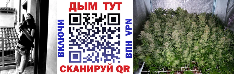 Конопля ГИДРОПОН Злынка